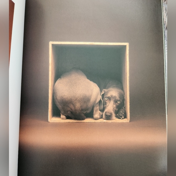 Polaroids Weimaraner Art Book - Picture 6 of 11